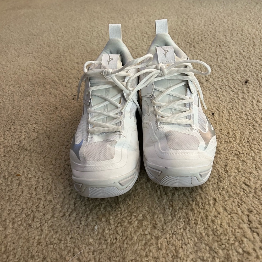 Mizuno Wave momentum volleyball shoes